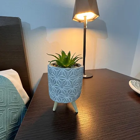 阿尔乐格酒店 酒店 3*